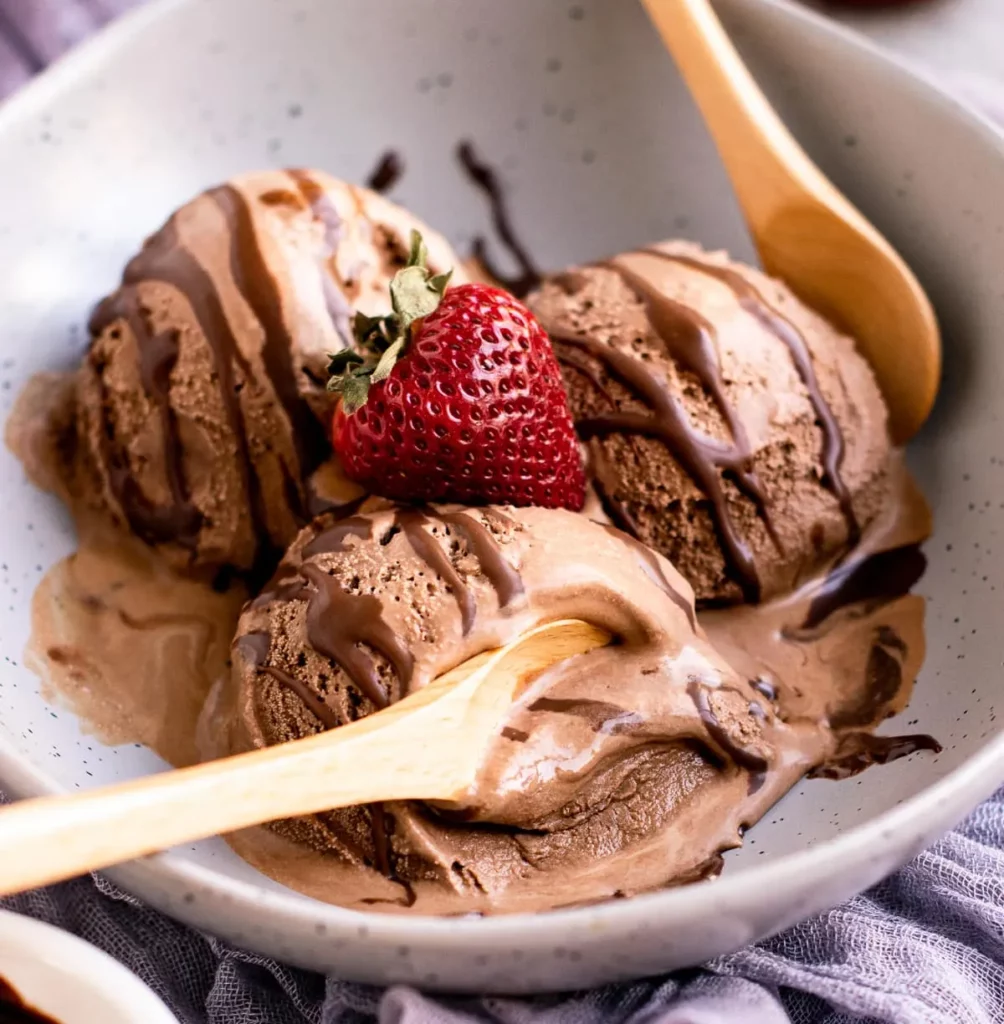 Creamiest Chocolate Icecream 1