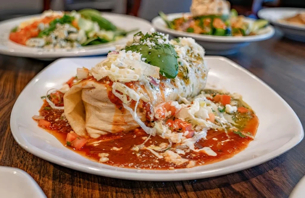 Mexican Wet Burrito 1