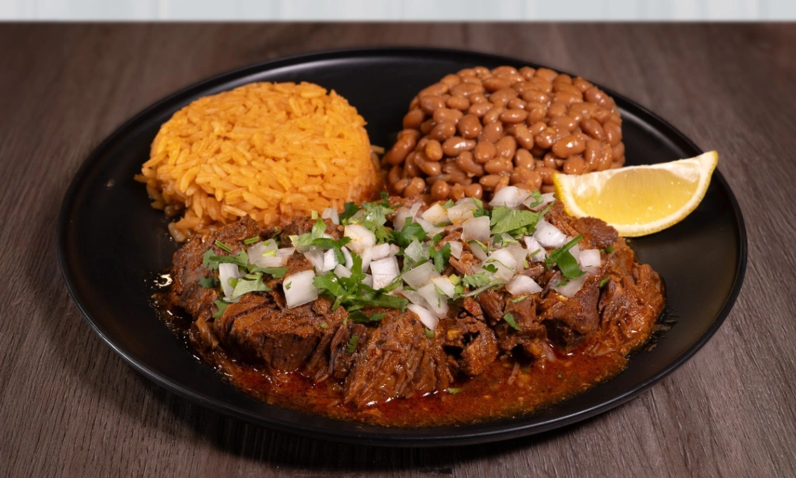 Birria Plate